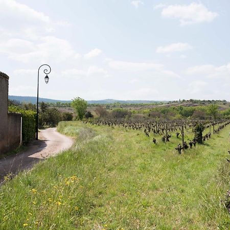 Octon - Le Couvent Villa Kültér fotó
